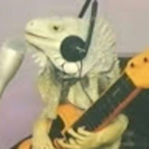 Meet your Posher, Zoe